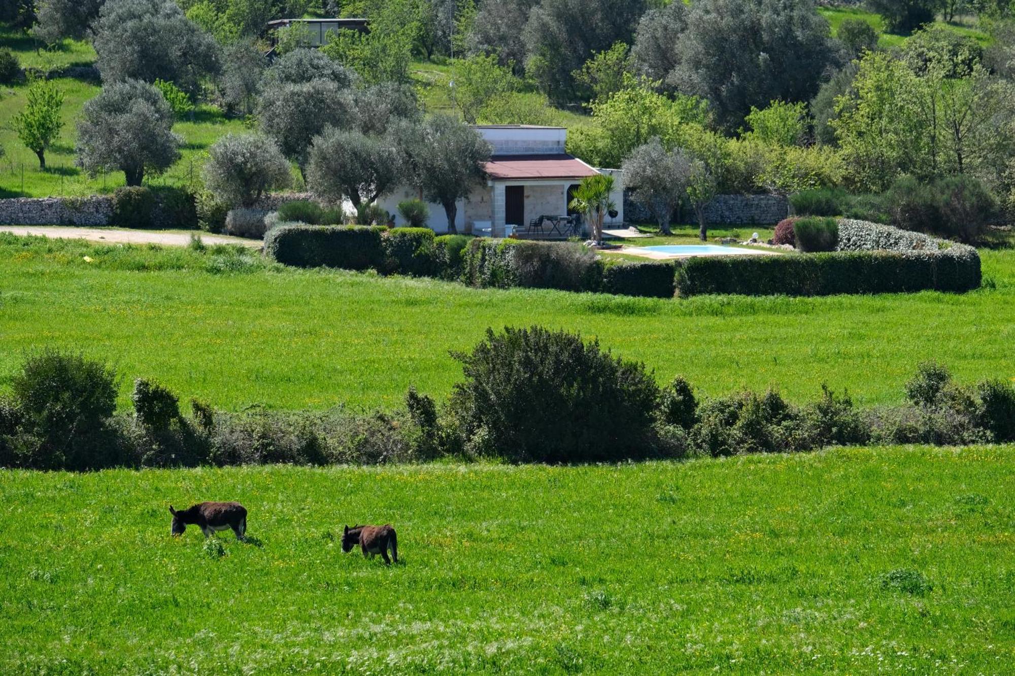 Terra Sessana Ville E Trullo Con Piscina Privata Ostuni Buitenkant foto